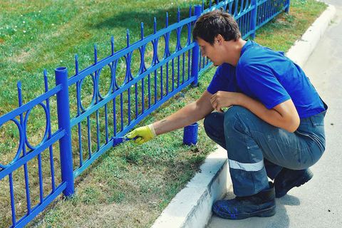 Garden Boundary Maintenance Guide and Fence Care