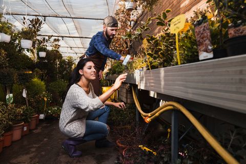 Rain Gutter Guard Tips for Leaf Protection