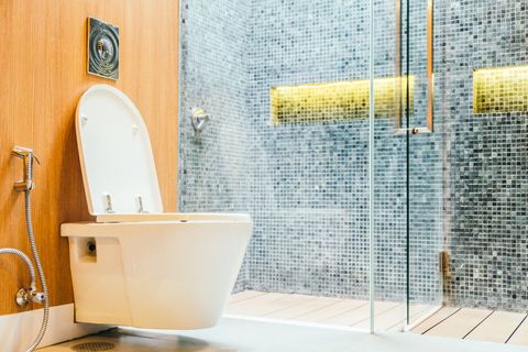 Discover Modern Toilet Design and Upgrade Insights